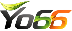 YO66